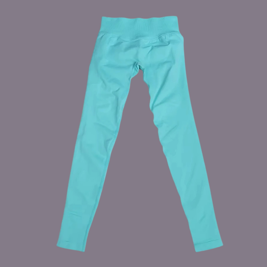 TDY Dynamic Mint Green Legging